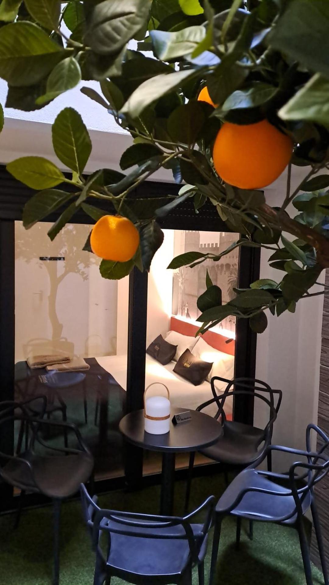Bonnies Suites & Spa ולנסיה מראה חיצוני תמונה