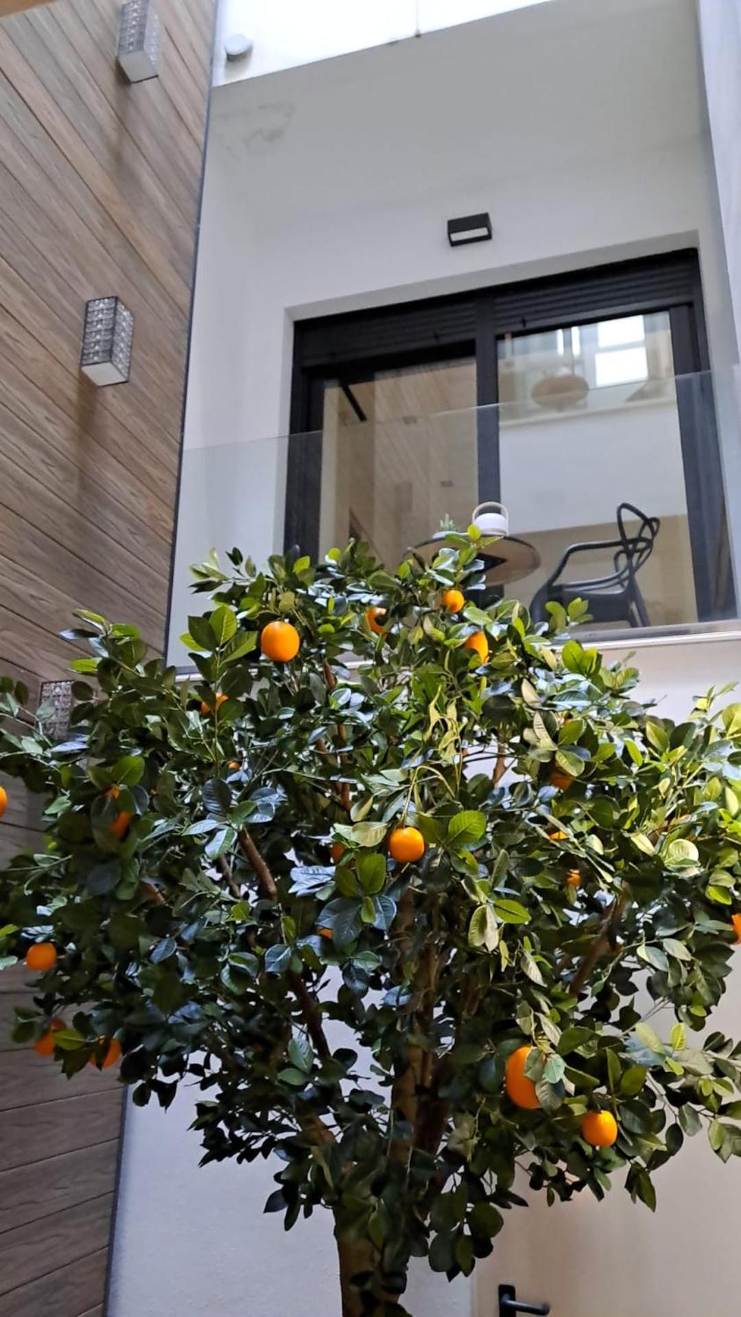 Bonnies Suites & Spa ולנסיה מראה חיצוני תמונה